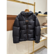 Zegna Down Jackets